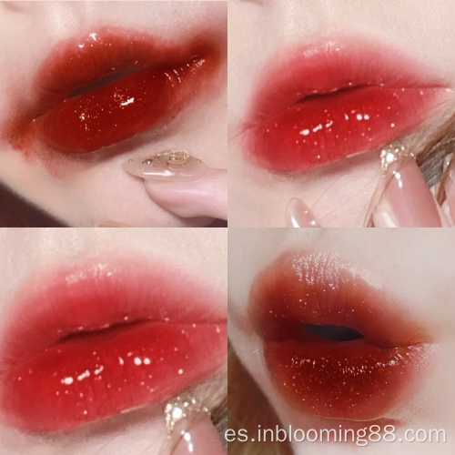 Etiqueta privada personalizada Beautiful Shimmer Lip Gloss